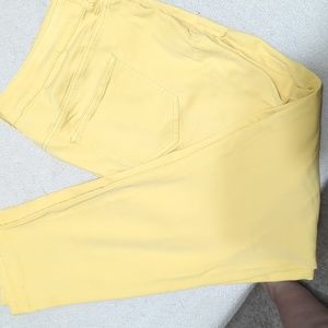Maurice's Yellow XL Jegging